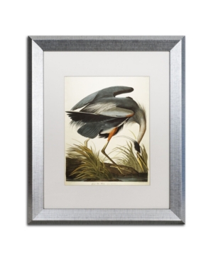 Trademark Global John James Audubon 'great Blue Heron' Matted Framed Art In Multi