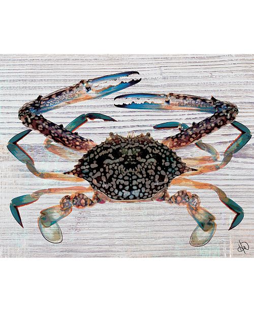 Kathy Ireland Tangelo Blue Crab On Wood Pattern Nautical 24 X 36 Metal Wall Art Print Reviews All Wall Decor Home Decor Macy S