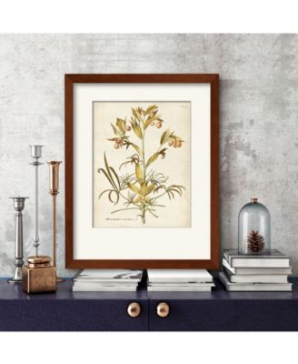Courtside Market Elegant Botanical II Framed Canvas Wall Art Collection