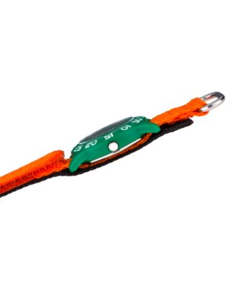 ewatchfactory Boy's Disney Toy Story 4 Rex Orange Plastic Time Teacher Strap Watch 32mm