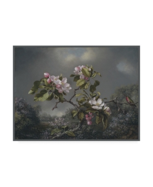 Trademark Global Martin Johnson Heade Apple Blossoms And Hummingbird Canvas Art In Multi