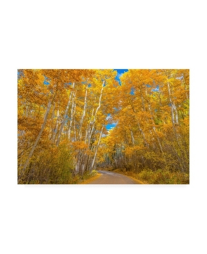 Trademark Global Darren White Photography Colors Of Fall Photograph Canvas Art In Multi