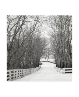 Nicholas Bel Country Lane in Winter Canvas Art - 155