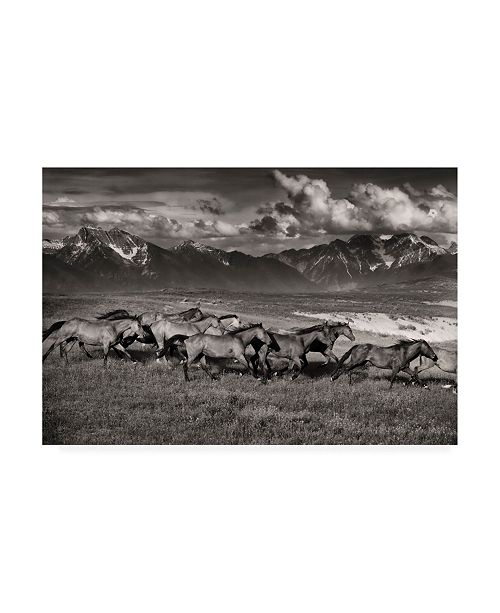 Trademark Global Lisa Dearin Mountain Range Mavericks Canvas Art