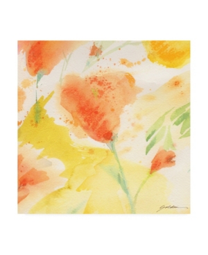 Trademark Global Sheila Golde Windblown Poppies #3 Canvas Art In Multi