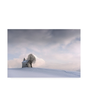 Nina Pauli Silent Winter Canvas Art - 20