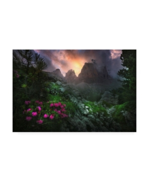 Luca Rebustini Garden of Eden 2 Canvas Art - 20