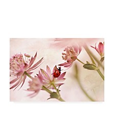 Ellen Van Deelen Ladybird and Pink Flowers Canvas Art - 20" x 25"