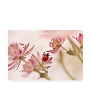 Shop Trademark Global Ellen Van Deelen Ladybird And Pink Flowers Canvas Art In Multi