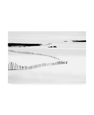 Grethe Stene Winter Mode Ii Canvas Art - 20