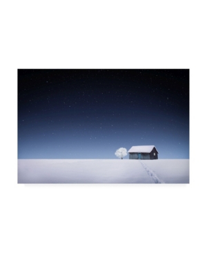 Bess Hamiti Winter Rural Stars Canvas Art - 20