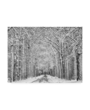 Saskia Dingemans Winter Mood Snowstorm Canvas Art - 20