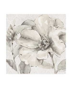 Trademark Global Lisa Audit Indigold Iv Gray Canvas Art In Multi