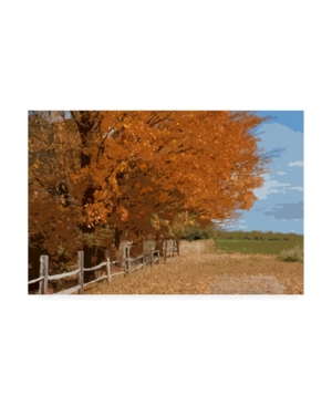Trademark Global Monte Nagler Fall Color Foliage Canvas Art In Multi