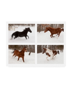 Trademark Global Monte Nagler Four Horses In Winter Canvas Art In Multi