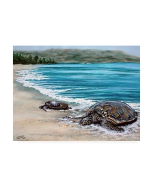 Trademark Global Patrick Sullivan 2 Turtles Canvas Art In Multi