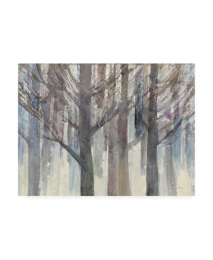 Trademark Global Albena Hristova Forest Light Gray Trees Canvas Art In Multi