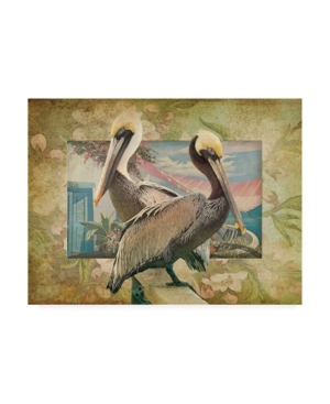 Trademark Global Steve Hunziker Pelican Paradise Iv Canvas Art In Multi