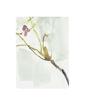 Trademark Global Jennifer Goldberger First Blooms Vi Canvas Art In Multi