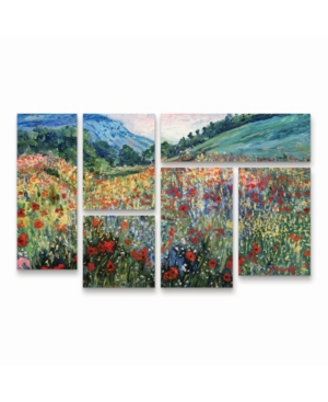 Trademark Global Masters Fine Art Field Of Wild Flowers Multi Panel Art Set 6 Piece