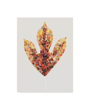Trademark Global Grace Popp Fall Mosaic Leaf Ii Canvas Art In Multi