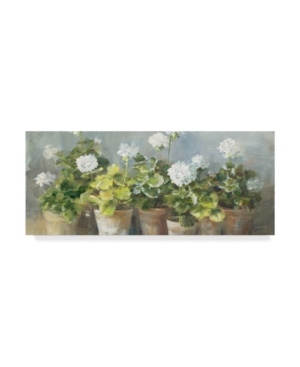 Trademark Global Danhui Nai White Geraniums V2 Canvas Art In Multi