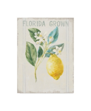 Trademark Global Danhui Nai Floursack Lemon I V2 Canvas Art In Multi