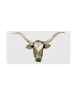 Trademark Global Grace Popp Longhorn Steer Ii Canvas Art In Multi