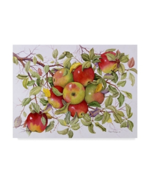 Trademark Global Marcia Matcham Apples On A Branch Canvas Art In Multi