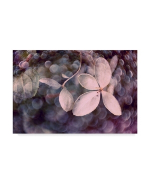 Trademark Global Judy Stalus Purple Hydrangea Canvas Art In Multi