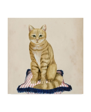 Trademark Global Grace Popp Lady Cat Iv Canvas Art In Multi