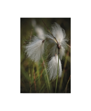 Christine Sainte-Laudy By the Wind Canvas Art - 20
