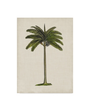 Trademark Global Naomi Mccavitt British Palms Iv Canvas Art In Multi