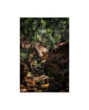 Trademark Global Pixie Pics Brush Forest Path Canvas Art In Multi