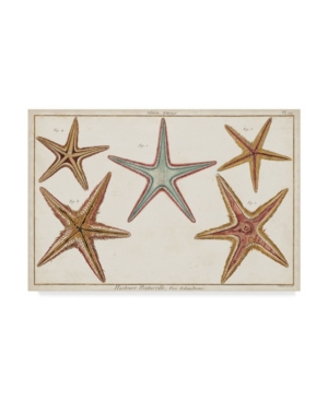 Trademark Global Denis Diderot Starfish Naturelle I Canvas Art In Multi