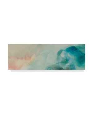 Trademark Global Sisa Jasper Aversion Iv Canvas Art In Multi