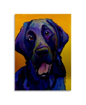 Trademark Global Pat Saunders-white Buddy Floating Brushed Aluminum Art In Multi