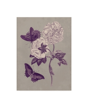 Shop Trademark Global Maria S. Merian Nature Study In Plum & Taupe Iv Canvas Art In Multi
