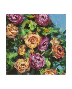 Trademark Global Melissa Wang Roses In Sunlight I Canvas Art In Multi