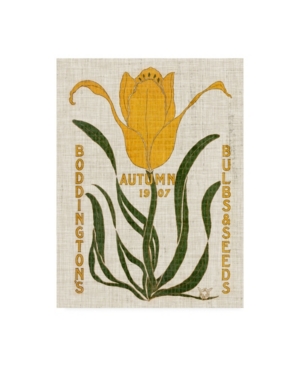 Trademark Global Vision Studio Flower Seed Packs I Canvas Art In Multi