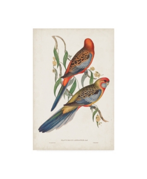 Trademark Global John Gould Tropical Parrots Ii Canvas Art In Multi