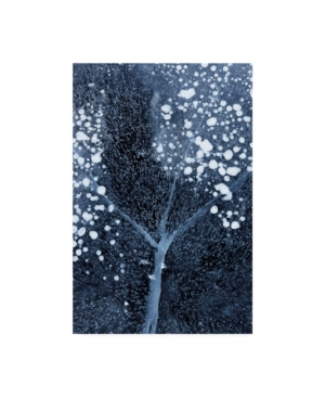 Mei Xu Winter Blossom Canvas Art - 20
