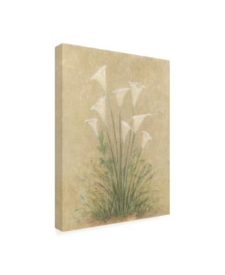 Debra Lake White Lilies on Parchment Canvas Art - 15.5" x 21"