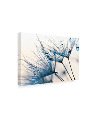 PhotoINC Studio Mystic Blue Canvas Art - 19.5" x 26"