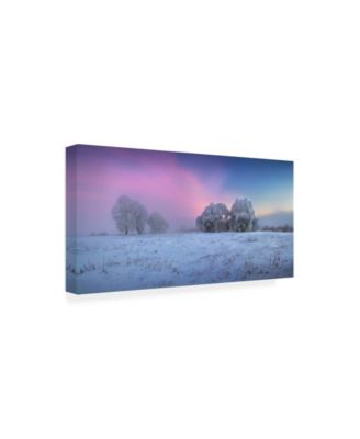 Trademark Global Sergei Shabunevich Trees Covered in Snow Canvas Art - 20" x 25"