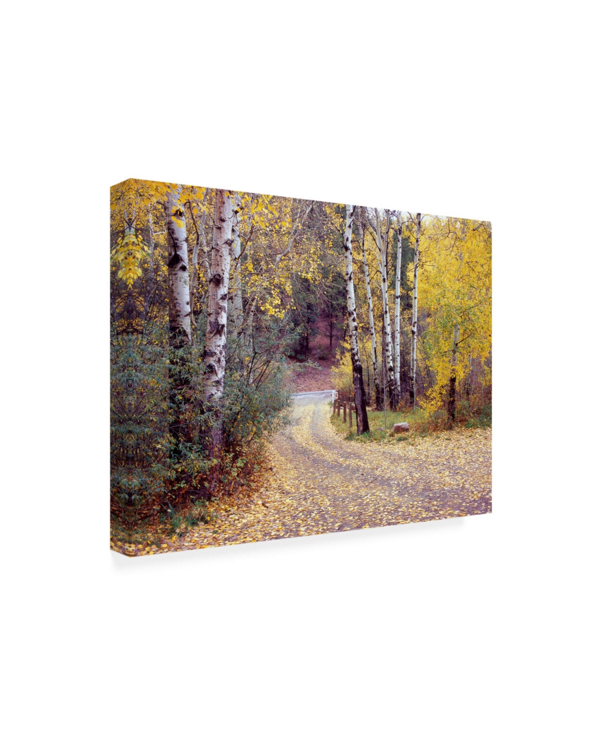 Monte Nagler Birch Tree Drive Fence and Road Santa Fe New Mexico Canvas Art -