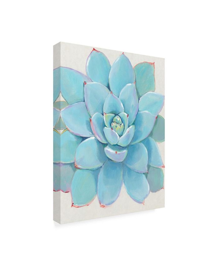22x26 Pastel Succulent IV By Tim OToole - Light Blue