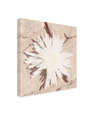 Jason Johnson Floral Canvas Art - 19.5" x 26"