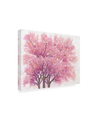 Tim OToole Pink Cherry Blossom Tree I Canvas Art - 19.5" x 26"