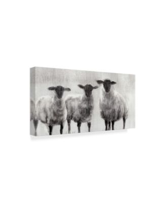 Trademark Global Ethan Harper Rustic Sheep I Canvas Art - 20" x 25"